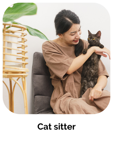 formation cat sitter