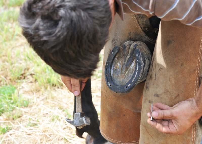 Mar&eacute;chal-ferrant