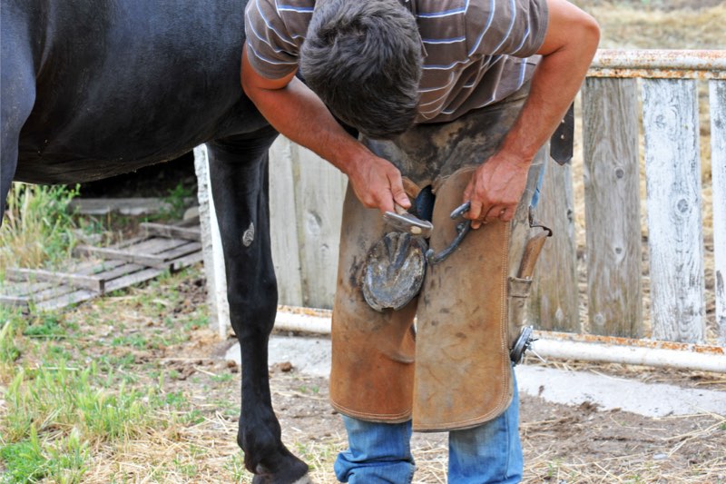 Mar&eacute;chal-ferrant
