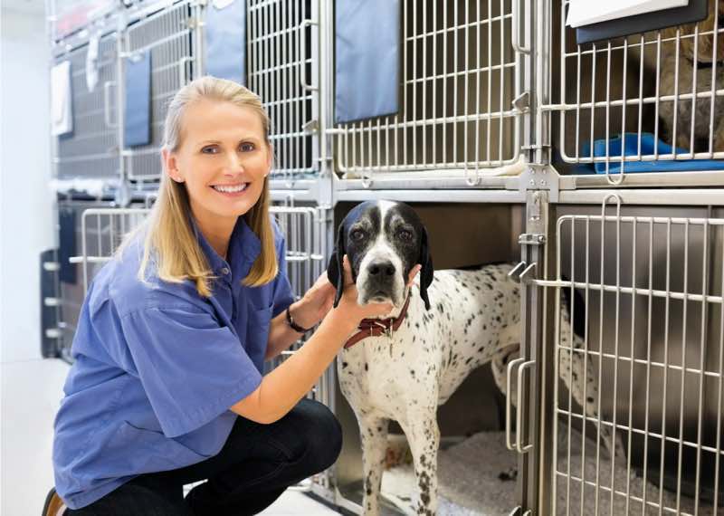 B&eacute;n&eacute;vole refuge animalier