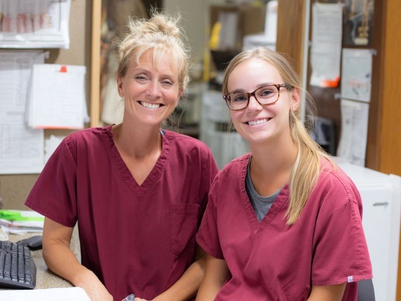 M&eacute;tiers animaliers du futur