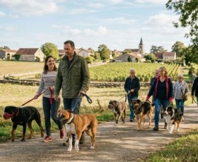 Liste des chiens catégorisés : tout savoir sur les catégories 1 et 2