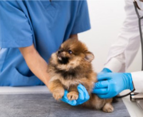 Comment travailler à 17 ans sans diplôme ?