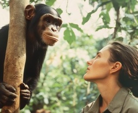 Fiche métier éthologue