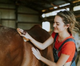 Les métiers équestres qui recrutent le plus en 2025