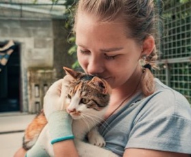 Devenir bénévole à la SPA en 4 étapes faciles