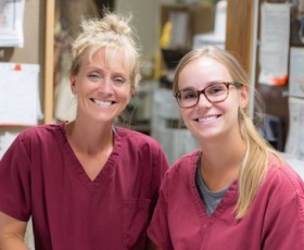 Les métiers animaliers qui vont marquer le futur