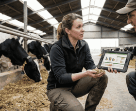 Comment devenir expert en nutrition animale ?