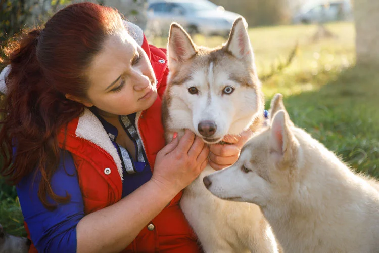 Adolescente avec des huskies